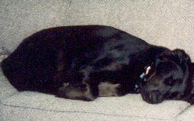 I sleep well knowing my Daddy is nearby